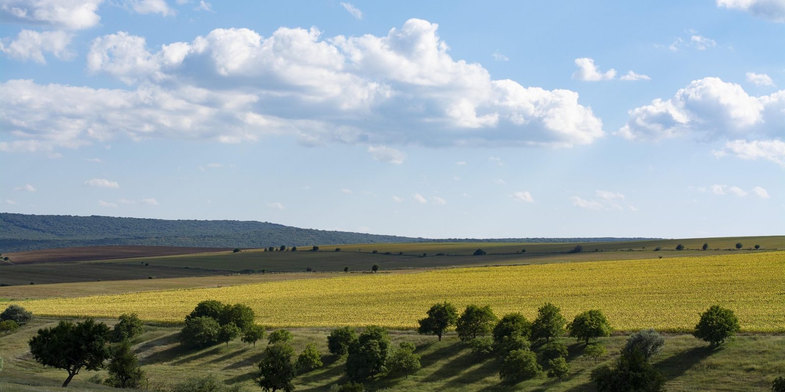 dobrogea-3735795_1920