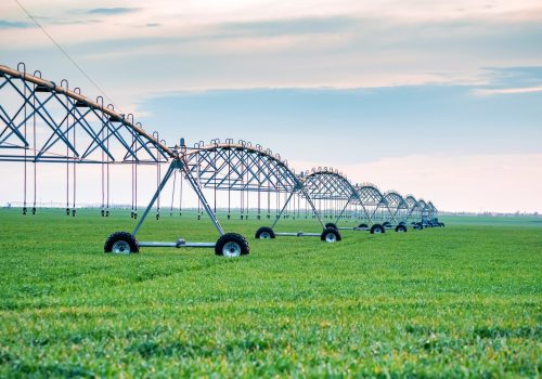 Drip irrigation system in field